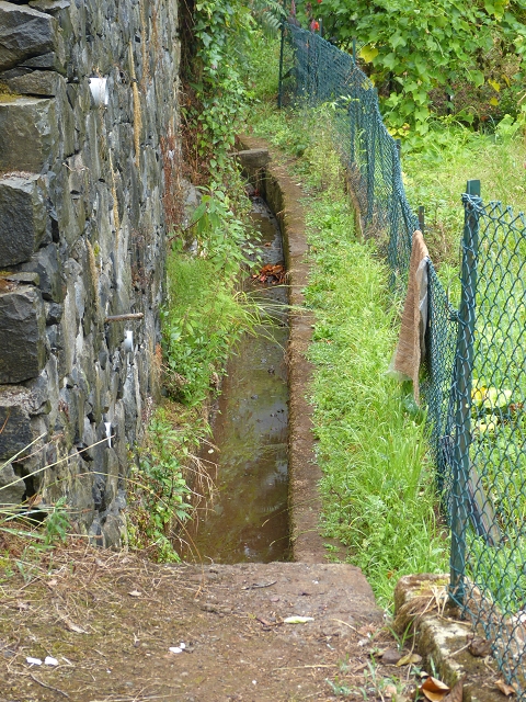Levada do Lombo de Baixo — photo 7