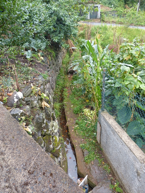 Levada do Lombo de Baixo — photo 8