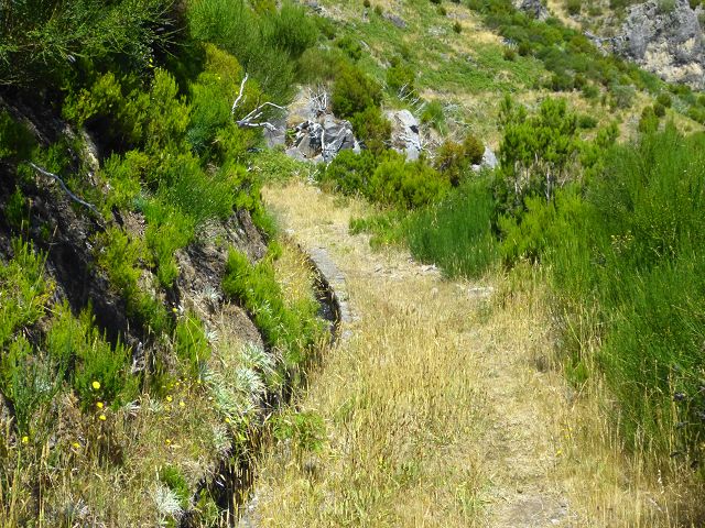 Levada do Lombo do Mouro — Der flache aussichtsreiche Abschnitt bis zum Sattel des Rocha do Cabo — Foto 5