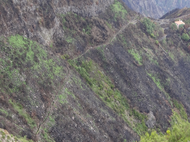 Levada do Lombo do Mouro — Der flache aussichtsreiche Abschnitt bis zum Sattel des Rocha do Cabo — Foto 10