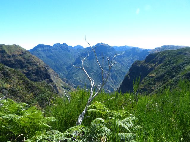 Levada do Lombo do Mouro — Der flache aussichtsreiche Abschnitt bis zum Sattel des Rocha do Cabo — Foto 11