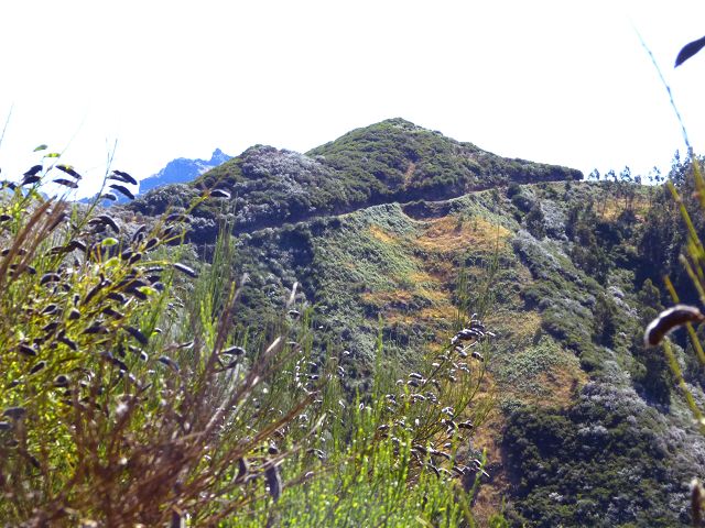 Levada do Lombo do Mouro — Der flache aussichtsreiche Abschnitt bis zum Sattel des Rocha do Cabo — Foto 15