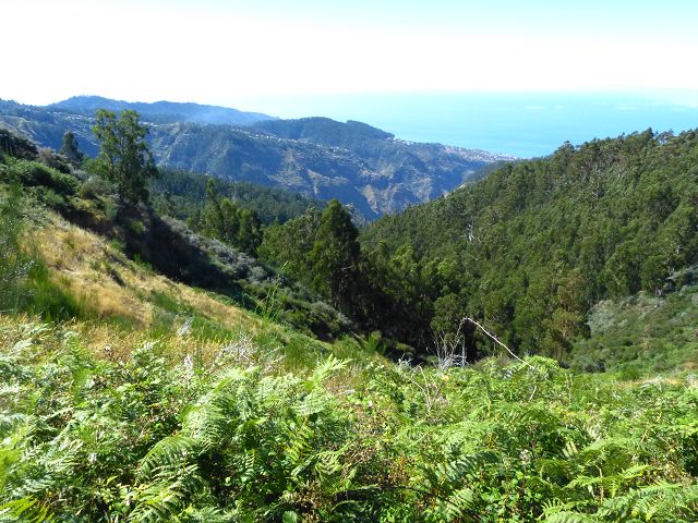 Levada do Lombo do Mouro — Weiter steiler mehr oder weniger auf dem Rücken des Lombos — Foto 1