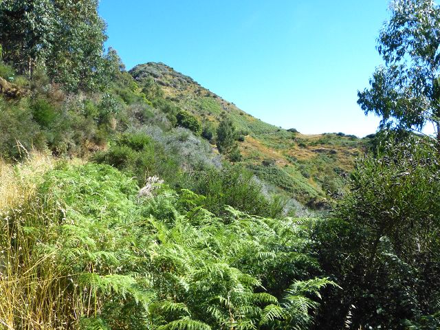 Levada do Lombo do Mouro — Weiter steiler mehr oder weniger auf dem Rücken des Lombos — Foto 2