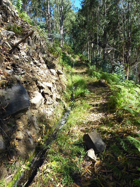 Levada do Lombo do Mouro — Weiter steiler mehr oder weniger auf dem Rücken des Lombos — Foto 3