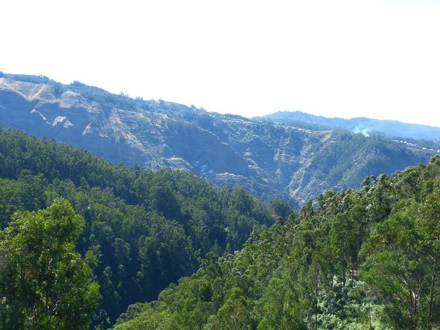 Levada do Lombo do Mouro — Weiter steiler mehr oder weniger auf dem Rücken des Lombos — Foto 4