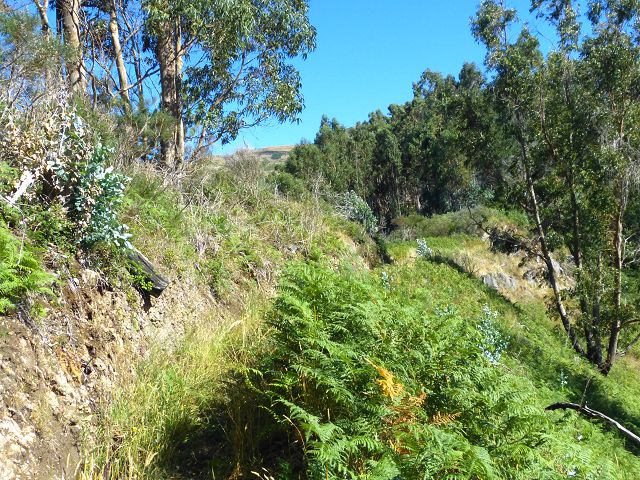Levada do Lombo do Mouro — Weiter steiler mehr oder weniger auf dem Rücken des Lombos — Foto 5