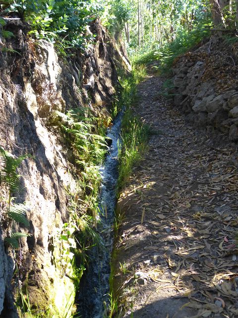 Levada do Lombo do Mouro — Weiter steiler mehr oder weniger auf dem Rücken des Lombos — Foto 6