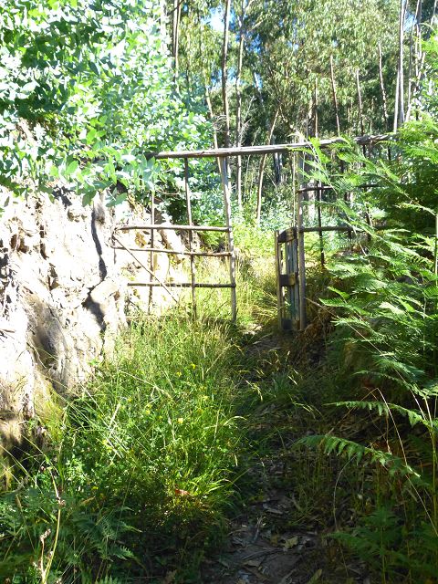 Levada do Lombo do Mouro — Weiter steiler mehr oder weniger auf dem Rücken des Lombos — Foto 7