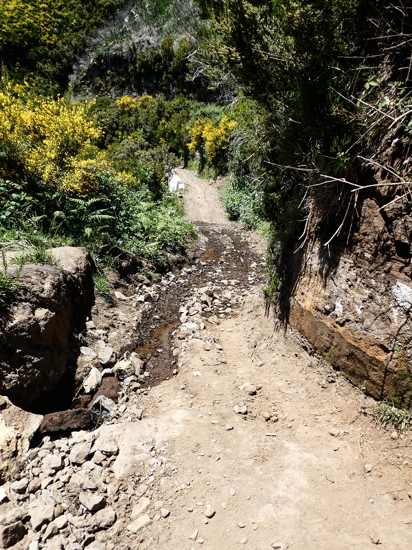Levada do Lombo do Mouro — Beginn ('Madre') an der ER 110, das Felstor und die ersten 100 Meter — Foto 1