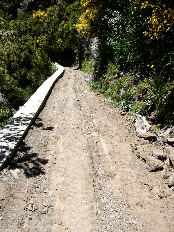 Levada do Lombo do Mouro — Beginn ('Madre') an der ER 110, das Felstor und die ersten 100 Meter — Foto 2