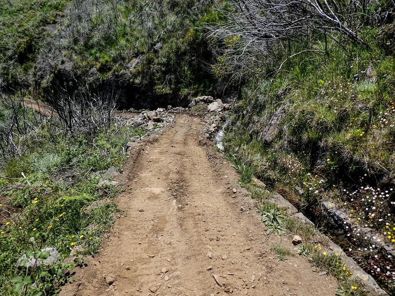 Levada do Lombo do Mouro — Beginn ('Madre') an der ER 110, das Felstor und die ersten 100 Meter — Foto 5