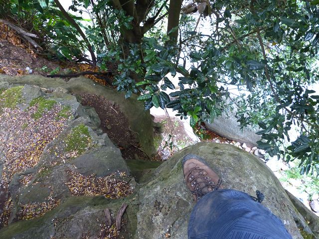Levada do Marocos 2 — Foto 13