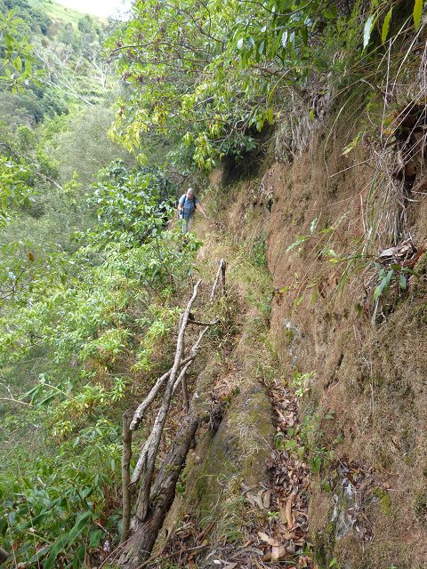 Levada do Marocos 2 — Foto 28