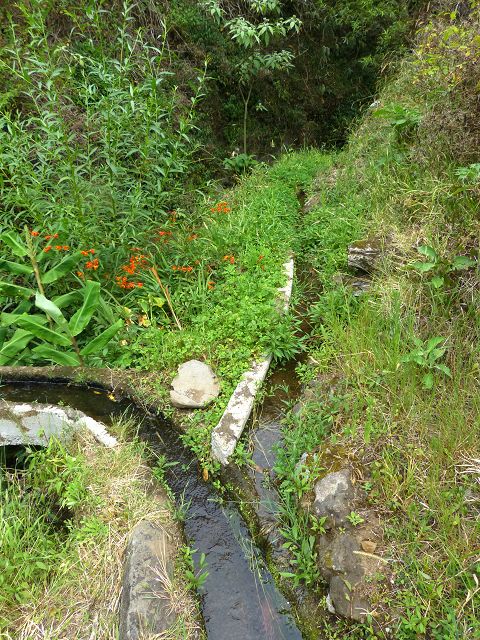 Levada do Marocos 2 — Foto 8