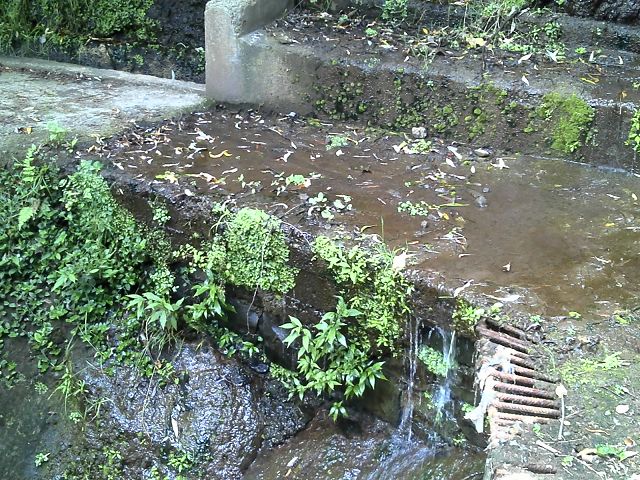 Levada do Marocos 3 — Foto 1
