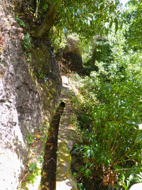 Levada do Marocos 4 — Foto 9