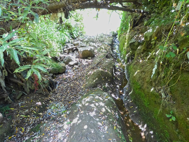 Levada do Meio — Levada do Meio bis zum Ende des unterhaltenen Teiles — Foto 1