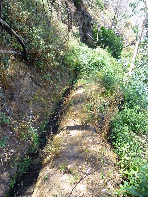 Levada do Meio — Levada do Meio bis zum Ende des unterhaltenen Teiles — Foto 11