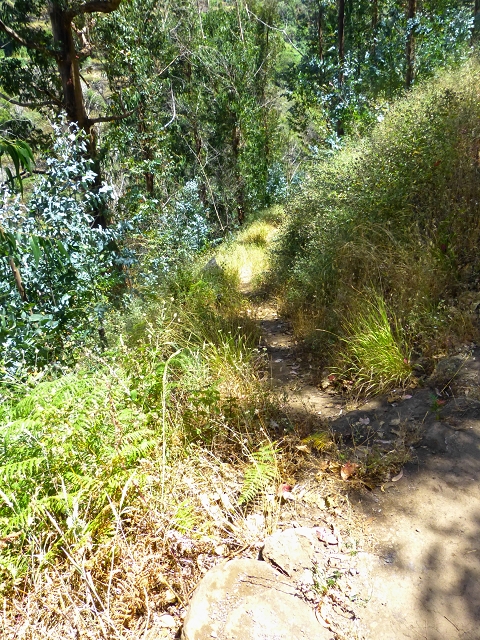 Levada do Meio — Levada do Meio bis zum Ende des unterhaltenen Teiles — Foto 14