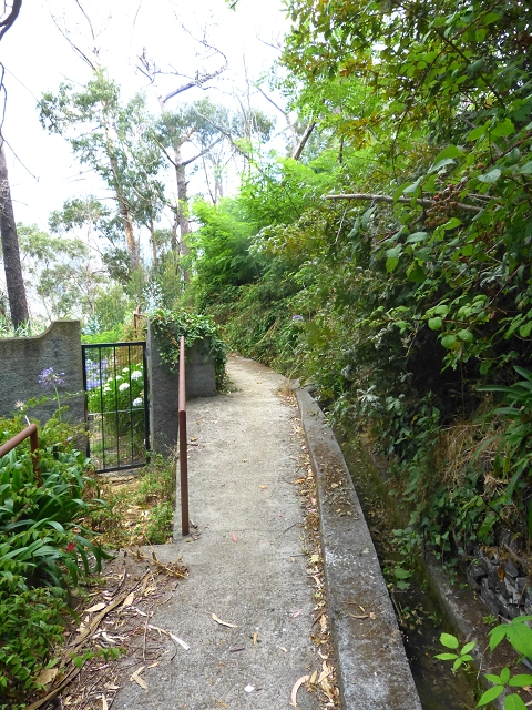 Levada do Meio — Levada do Meio als Fusspfad bis Boa Morte — Foto 5