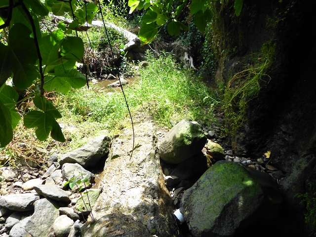 Levada do Meio — Levada do Meio bis zum Ende des unterhaltenen Teiles — Foto 2