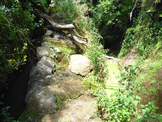 Levada do Meio — Levada do Meio bis zum Ende des unterhaltenen Teiles — Foto 3