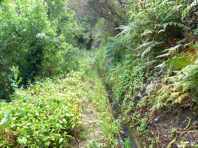 Levada do Meio — Levada do Meio bis zum Ende des unterhaltenen Teiles — Foto 5