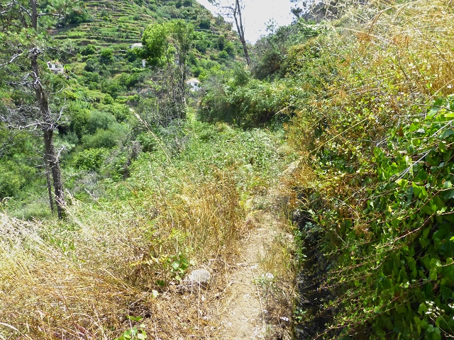 Levada do Meio — Levada do Meio bis zum Ende des unterhaltenen Teiles — Foto 6
