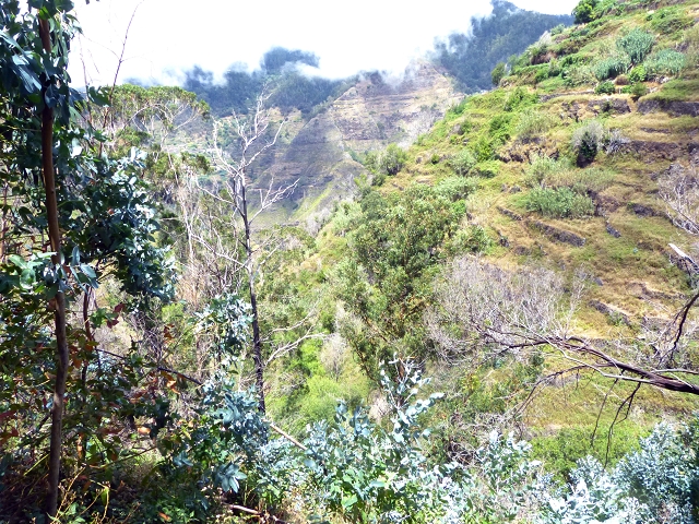 Levada do Meio — Levada do Meio bis zum Ende des unterhaltenen Teiles — Foto 9