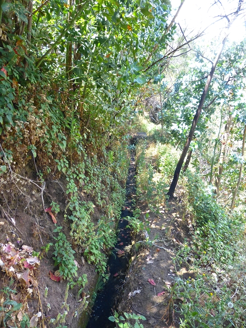 Levada do Meio — Levada do Meio bis zum Ende des unterhaltenen Teiles — Foto 10