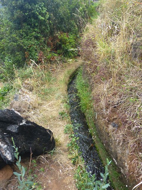 Levada do(s) Moinho(s) da Serra — Von der Madre zur Kreuzung mit der Rua Lombo dos Moinhos — Foto 11