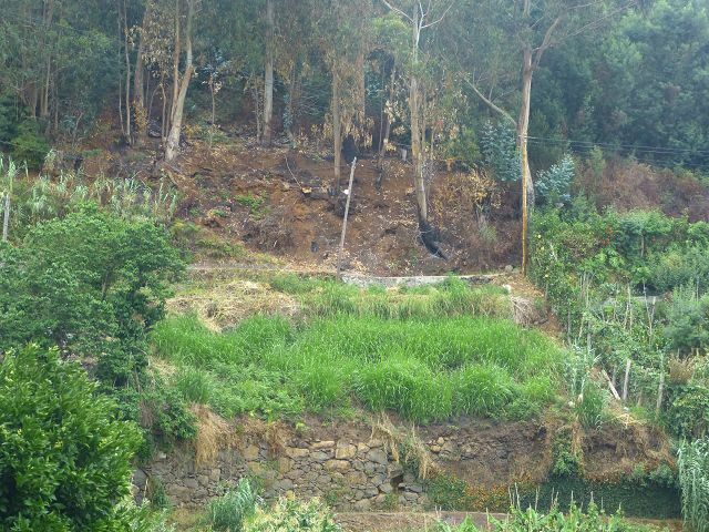 Levada do(s) Moinho(s) da Serra — Von der Madre zur Kreuzung mit der Rua Lombo dos Moinhos — Foto 14