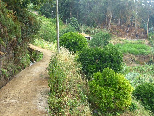 Levada do(s) Moinho(s) da Serra — Von der Madre zur Kreuzung mit der Rua Lombo dos Moinhos — Foto 15