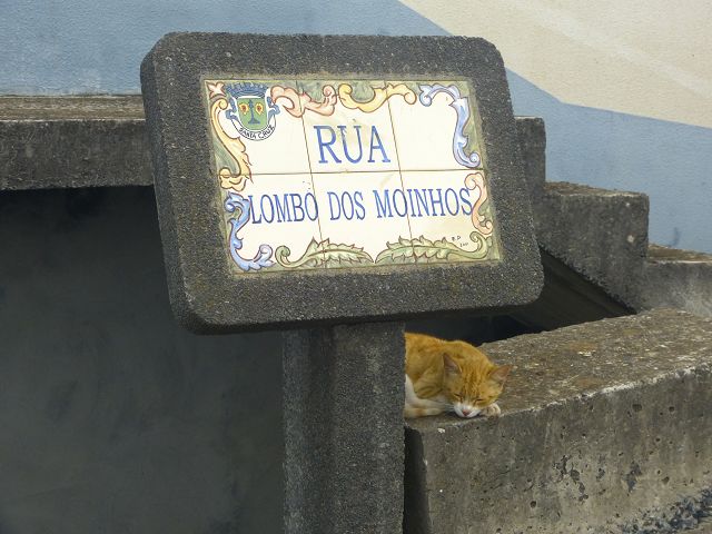 Levada do(s) Moinho(s) da Serra — Von der Madre zur Kreuzung mit der Rua Lombo dos Moinhos — Foto 17