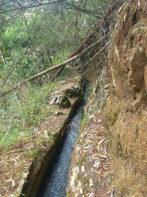 Levada do(s) Moinho(s) da Serra — Von der Madre zur Kreuzung mit der Rua Lombo dos Moinhos — Foto 6