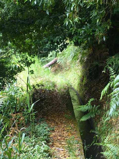 Levada do(s) Moinho(s) da Serra — Von der Madre zur Kreuzung mit der Rua Lombo dos Moinhos — Foto 8