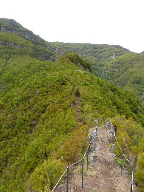 Aussichtpunkt Amazonia