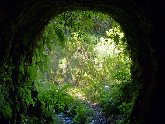 Levada do Norte Nord — The third tunnel — photo 1