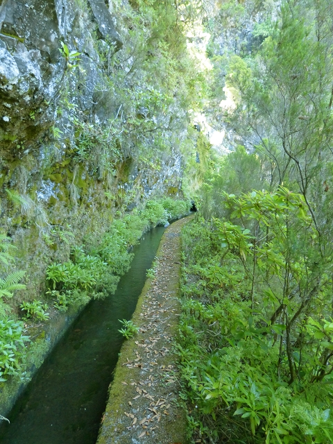 Levada do Norte Nord — On to the levada house — photo 2