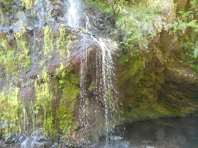 Levada do Norte Nord — The Madre — photo 2