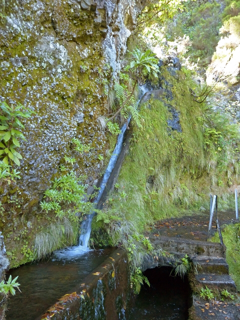 Levada do Norte Nord — On to the levada house — photo 4