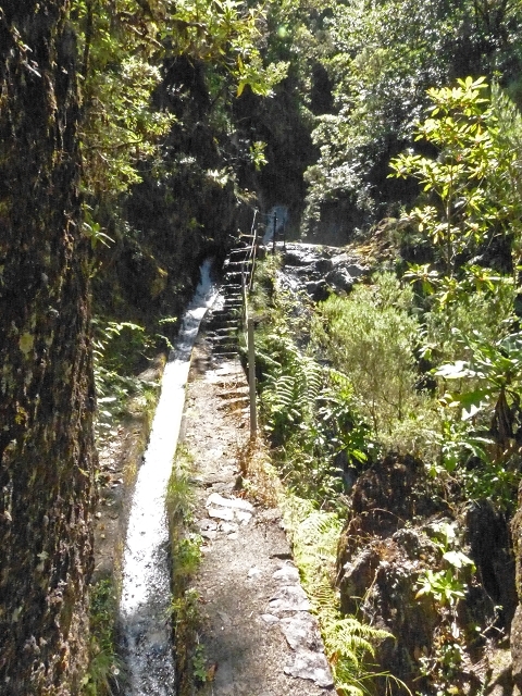 Levada do Norte Nord — The Madre — photo 3