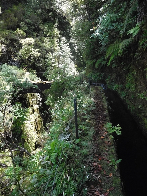 Levada do Norte Nord — The bridge with the inflowing Levadinha — photo 1