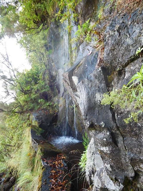 Levada do Norte Nord — Crossing the Ribeira de Joao Delgado — photo 1
