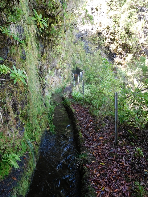 Levada do Norte Nord — Crossing the Ribeira de Joao Delgado — photo 2