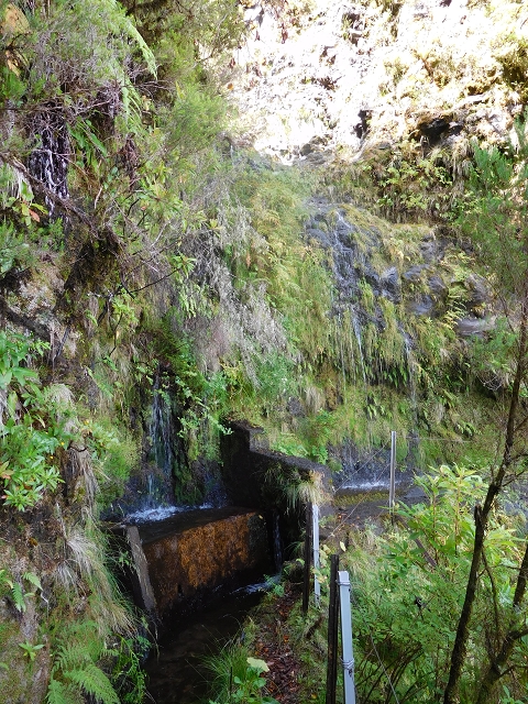 Levada do Norte Nord — Crossing the Ribeira de Joao Delgado — photo 3