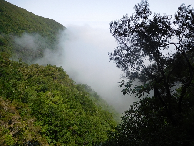 Levada do Norte Nord — Crossing the Ribeira de Joao Delgado — photo 5