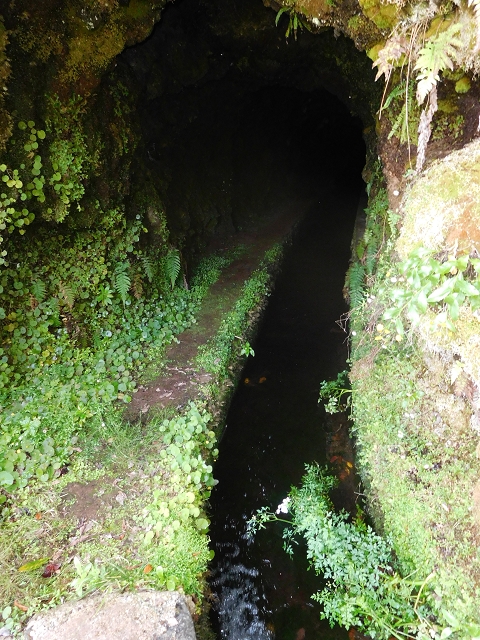 Levada do Norte Nord — The fifth tunnel — photo 2