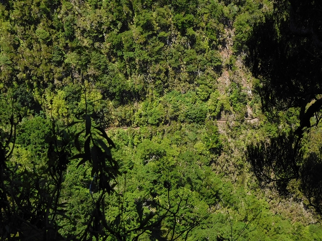 Levada do Norte Nord — In the valley of the Ribeira do Inferno: nature in the raw — photo 3